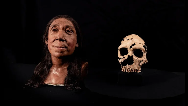 iak-vyhliadaly-homo-sapiens-zovnishnist-pershykh-suchasnykh-liudei-ed7a