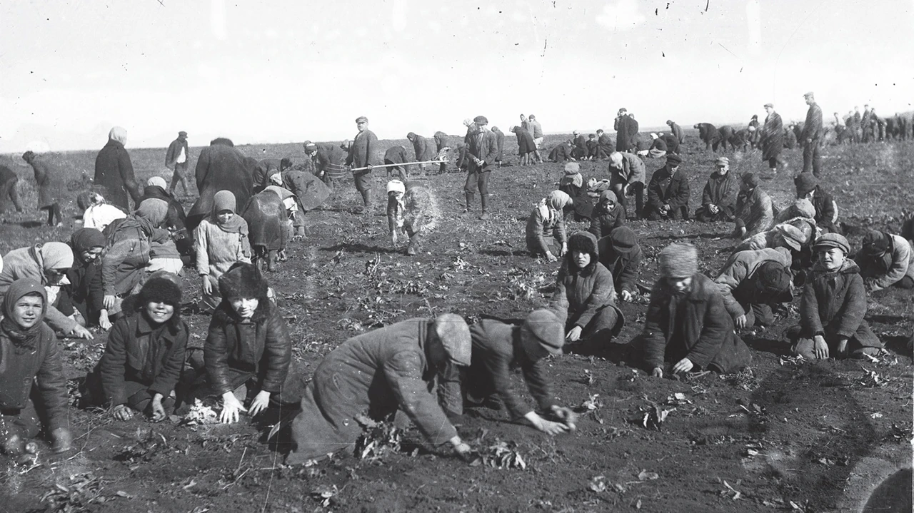 kolektyvizatsiia-shcho-tse-iak-vidbuvalasia-i-chym-zakinchylasia-dlia-ukrainy-974c
